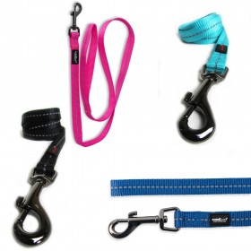 Dogs Life Leash Assorted Colours