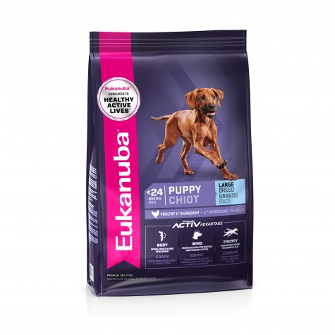 Eukanuba Large Breed Puppy Chicken Dry Food
