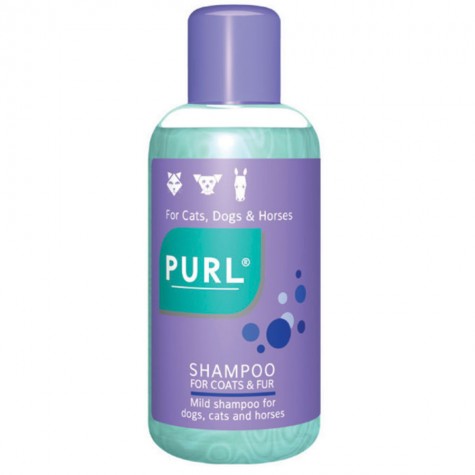 Purl Regular Shampoo 500ml