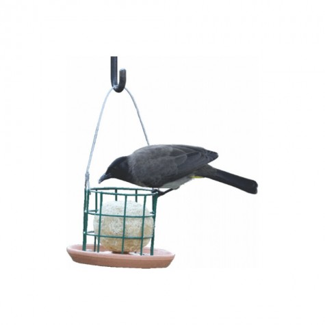 Suet Ball Feeder (Metal)