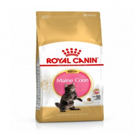 Royal Canin Maine Coon Kitten  Dry Cat Food
