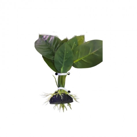 Plastic Plant SP5810