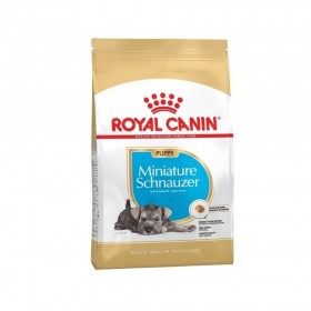 Royal Canin Miniature Schnauzer Junior Dry Dog Food 1.5kg