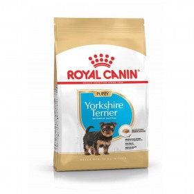 Royal Canin Yorkshire Terrier Junior Dry Dog Food