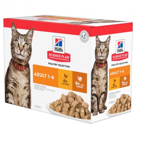 Hill's Adult Wet Cat Food Pouch Chicken and Turkey Flavour