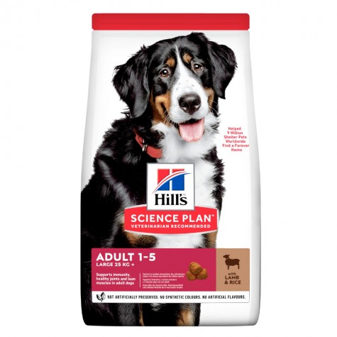Hill's Science Plan Adult Large Dry Dog Food Lamb and Rice Flavour 12kg