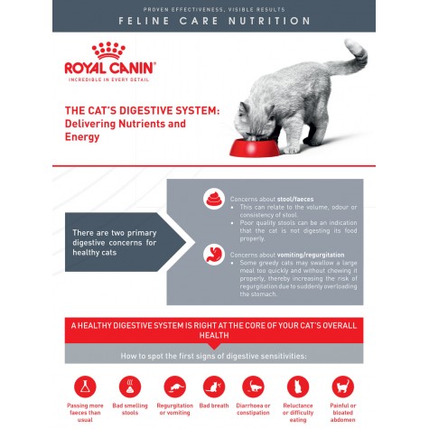 Royal Canin Feline Digestive Care