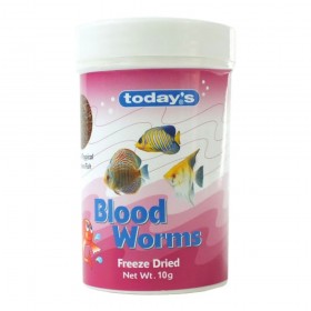 Todays Blood Worms 10g